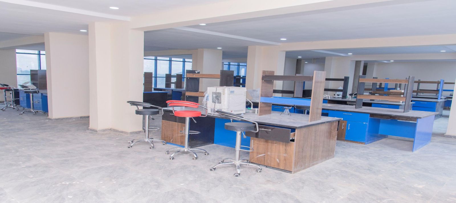 Department of Physics