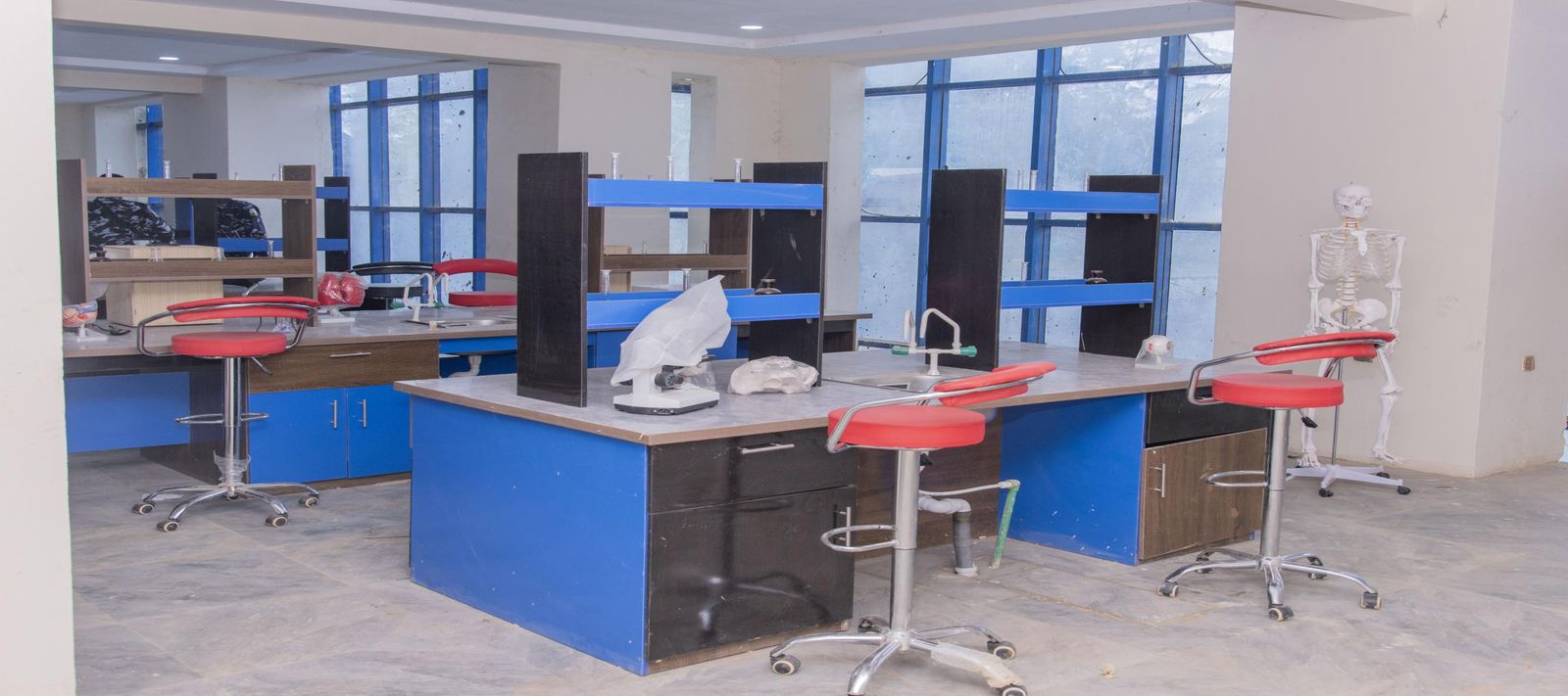 Faculty of Basic Medical and Allied Health Sciences